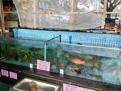 -荔城生鲜盛宴(番禺旗舰店)
