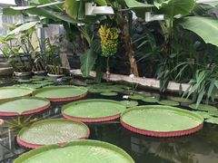 -国家植物园南园