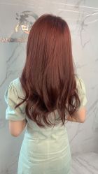 -潘多拉Hairsalon