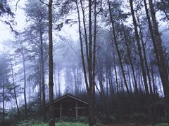 -重庆雨台山风景区