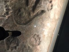 -湖南省地质博物馆