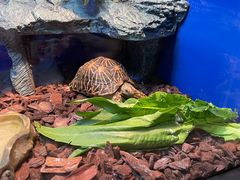 -上海海洋水族馆