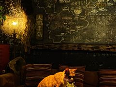-城墙外BAR