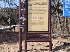 -北京西山国家森林公园