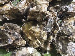 -集杰尚品海鲜烤肉自助餐厅(乳山振华店)