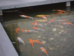 -绿房子方寸咖啡(星海名城店)