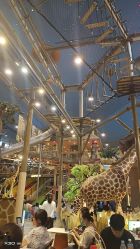 -卡通尼·Safari非洲探索乐园·生日会(金桥国际商业广场店)