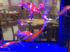 -东来菜馆•手抓海鲜家常菜•海鲜锅贴(鸽子窝店)