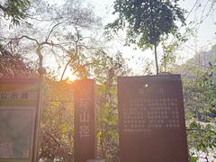 -滴水岩森林公园