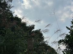 -广州市白云山风景名胜区