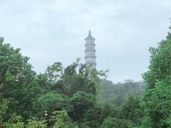 -巢湖姥山岛