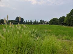 -嘉北郊野公园