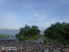 -宝安西湾红树林湿地公园