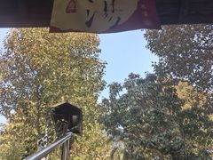 -观唐（国际）度假村温泉