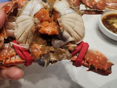 -集品鲜湾·蒸汽海鲜自助料理(青岛银座和谐广场店)