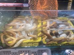 -华威西营里农产品批发市场