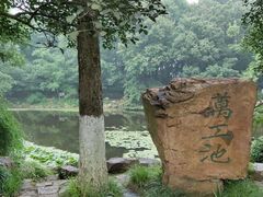 -灵谷景区