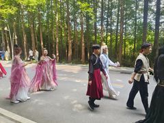 -日照海滨国家森林公园