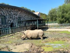 -哈尔滨北方森林动物园