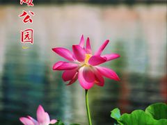 -北海公园