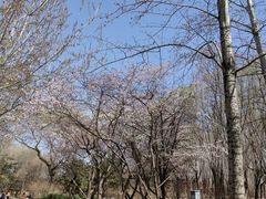 -大望京公园