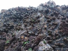 -嵊泗基湖沙滩