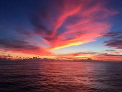 -新林麻辣串(西市场总店)