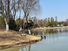 -武汉园博园(武汉自然博物馆)