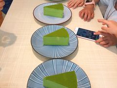 -王守财小山園