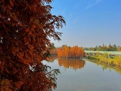 -白鹭湾湿地公园