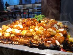 -锦尚阁烤鱼(望京新荟城店)