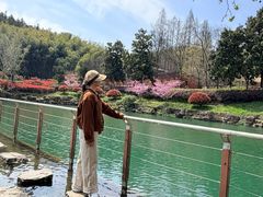 -冶父山国家森林公园