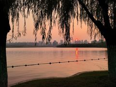 -天鹅湖体育公园
