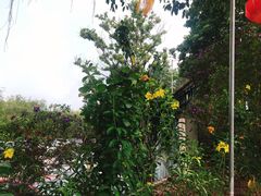 -绿华园休闲山庄