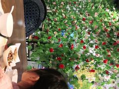 -舌尖上的食缘花园主题餐厅