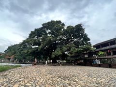 -云水谣景区