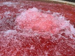 -春晖园度假酒店温泉