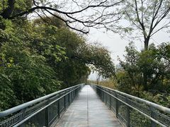 -佛山华盖山公园