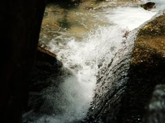 -广州白江湖森林公园