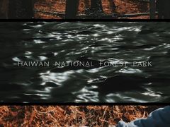 -上海海湾国家森林公园