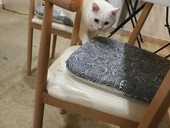 -泰国佛·塔罗·泰牌狐仙古曼