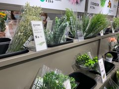 -鹿岛生活(熙地港店)