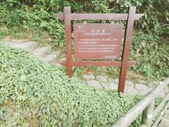 -山沟沟景区