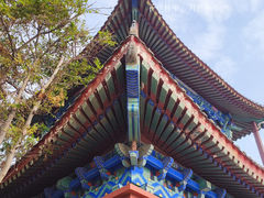 -天津妈祖文化园