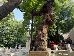 -潭柘寺景区