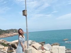-广东惠东海龟国家级自然保护区