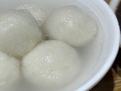 -海丝金凤(金鱼店)