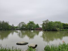 -海珠湖公园