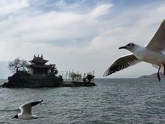 -大理洱海