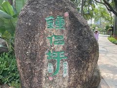 -荔枝公园(福田区)